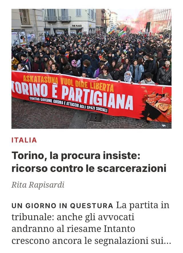 rita rapisardi tweet media