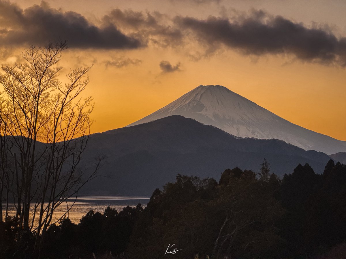 とっても綺麗だった