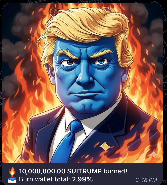 SUITRUMPCOIN's tweet photo. Buy and Burns continue and continue. They will not stop. If market conditions push us lower, we can burn more. This down turn cannot continue forever.

HODL and let @suidexHQ  make your coins rarer every day.

99% of tokens vanish in a bear market. SuiTrump will not go quietly into the night. We burn!
