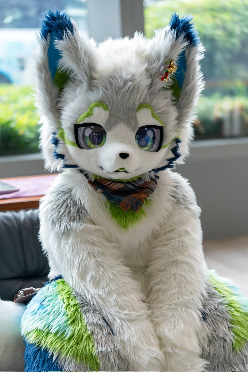 没睡醒狐狐
#FursuitFriday