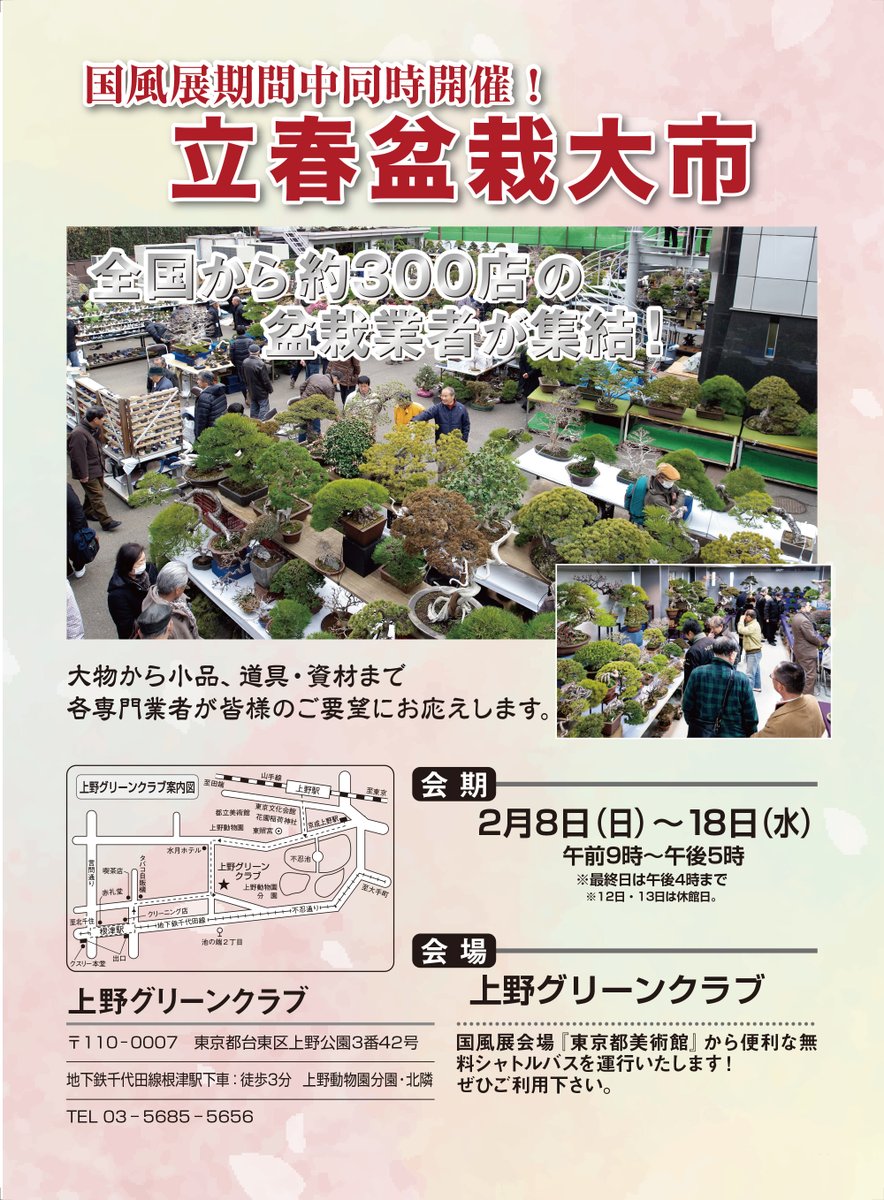 kinbon_bonsai's tweet photo. ［告知］立春大市 国風盆栽展期間中、同時開催！
国風展と合わせてお立ち寄りください。
会場/上野グリーンクラブ(台東区上野公園) TEL03(5685)5656 事務局
※12日•13日休館。入場無料。
全国から盆栽・関連資材業者300社が集う大即売会。
国風展会場「東京都美術館」との無料シャトルバスあり。 https://t.co/BRISHkMcfn