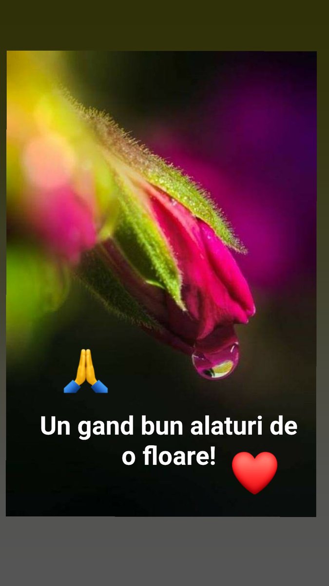 Nicole (@ndraghi265) on Twitter photo 