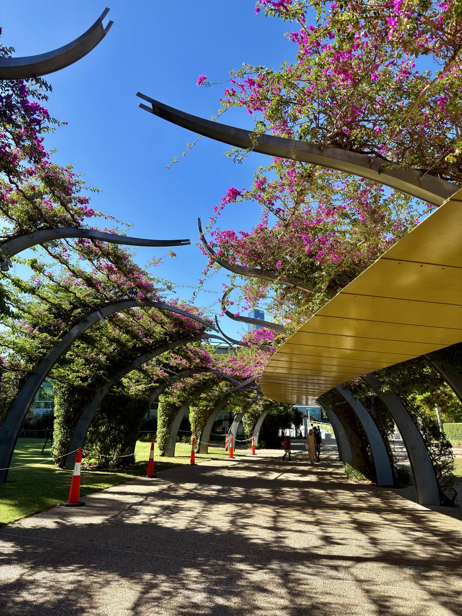 hznry's tweet photo. Beautiful day walking through the nature of our pretty city today. Truly the best city in the world 🥰♥️ #Auckland #summer #notlondon #notnewyork https://t.co/RWyfhEfOxk