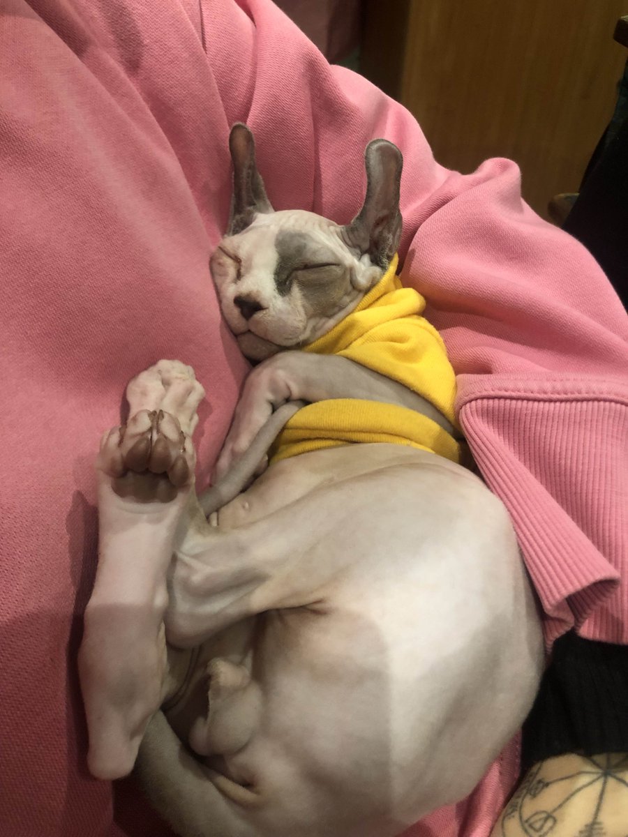 Egloo🐧 tweet media