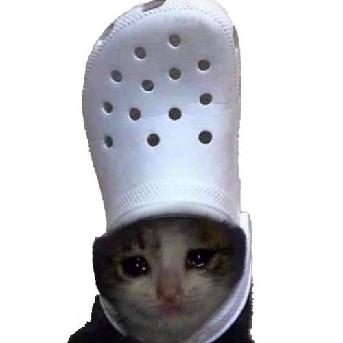 Lexihim's tweet image. The cat with a crock on it head
$croc cat
FmeCzAg5bbEzPpcAuZrBFV6rZoQzpPYkxAzt6Zs9pump
