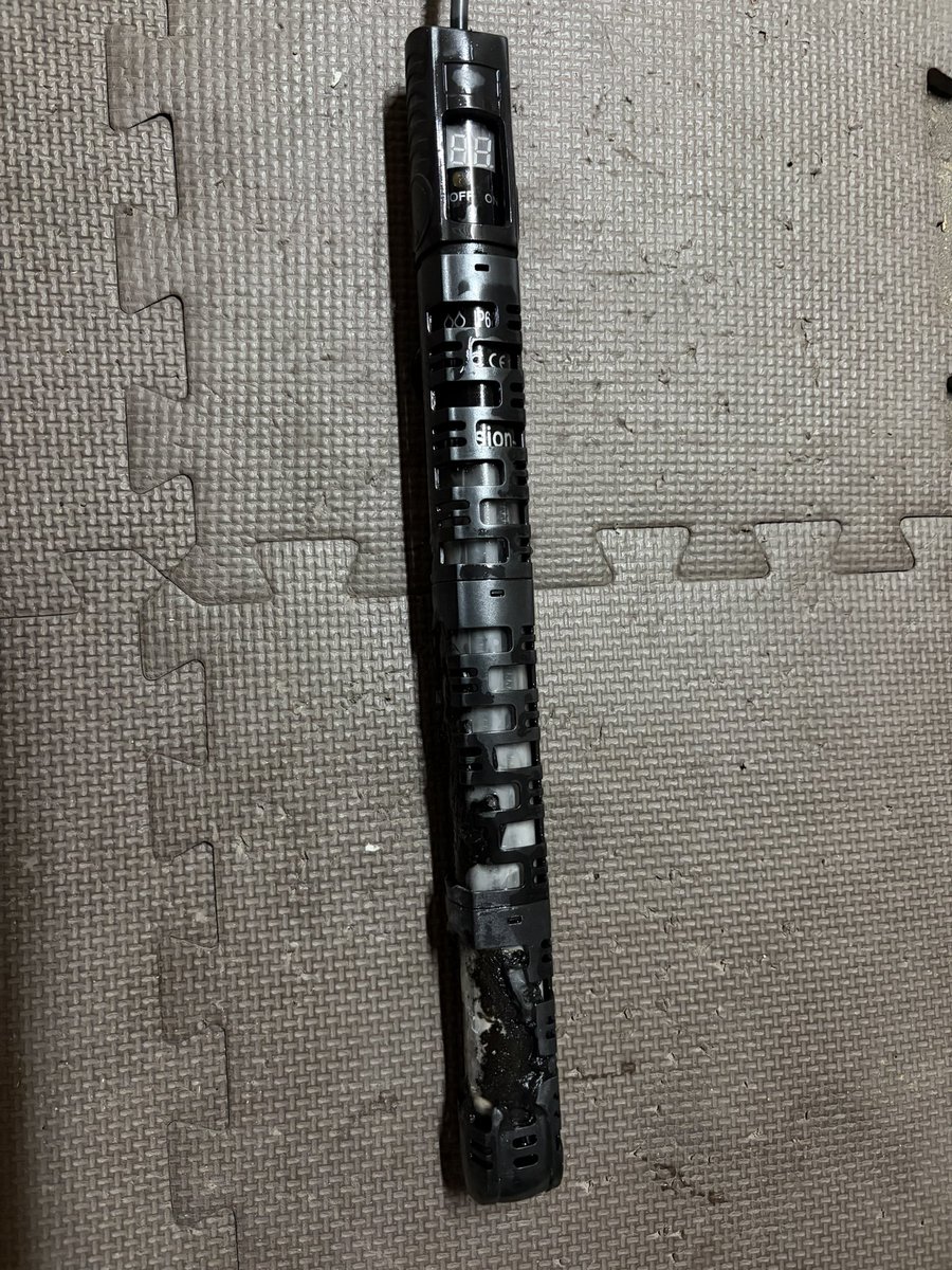 taro_nichijyo's tweet photo. アマゾンの水中ヒーター300Wこれ買わない方がいいわ
帰ってきたら溶けてた
運良く火事ならず他の生体何も無く無事生きてた
#水中ヒーター故障 #注意喚起 https://t.co/2XrjnuYedF