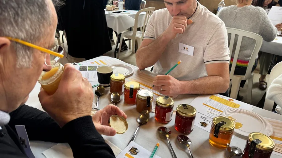 Le miel de litchi de La Réunion rafle la mise➡️ au concours des miels de France

➡️Une vingtaine d'apiculteurs de cinq territoires ultramarins participaient cette année à la 9ème édition du concours des Miels de France.

📱💻la1ere.franceinfo.fr/economie/agric…