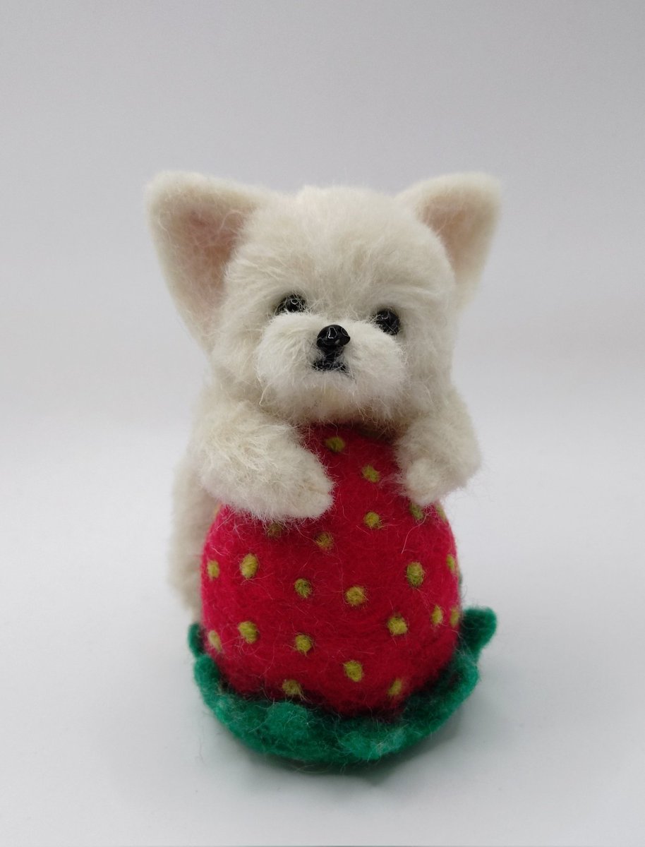 かんわいい〜♡ こんな可愛かったら食べちゃいたくなる〜♡