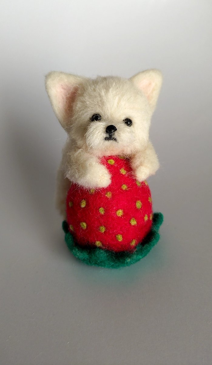 かんわいい〜♡ こんな可愛かったら食べちゃいたくなる〜♡