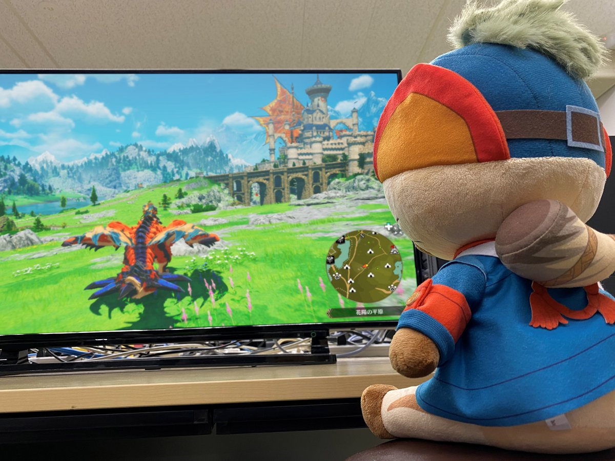 写真のルディぬいぐるみはイーカプコンにて予約受付中です