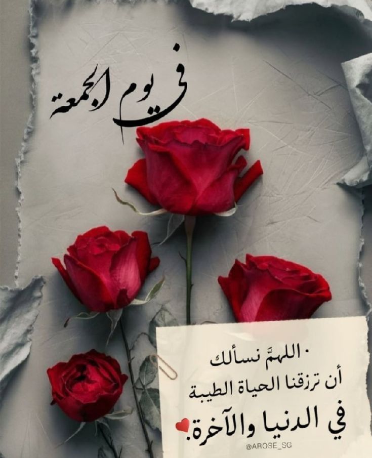 ❤Basma🍒 tweet media