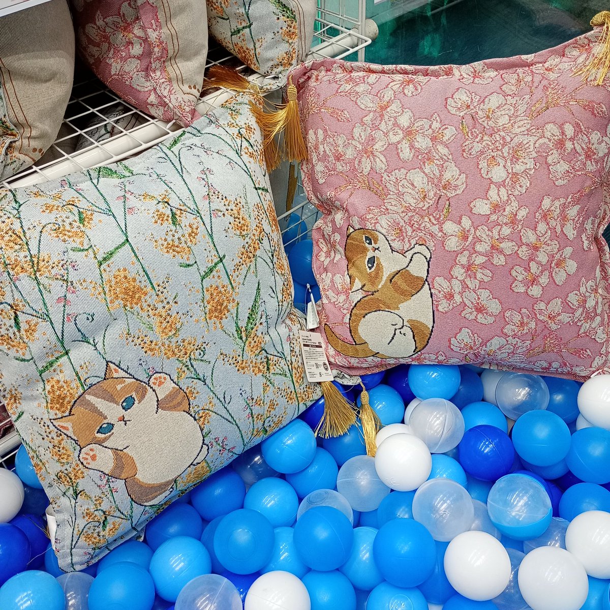 🆕プライズ情報】 mofusand×日比谷花壇 ゴブラン織りクッション