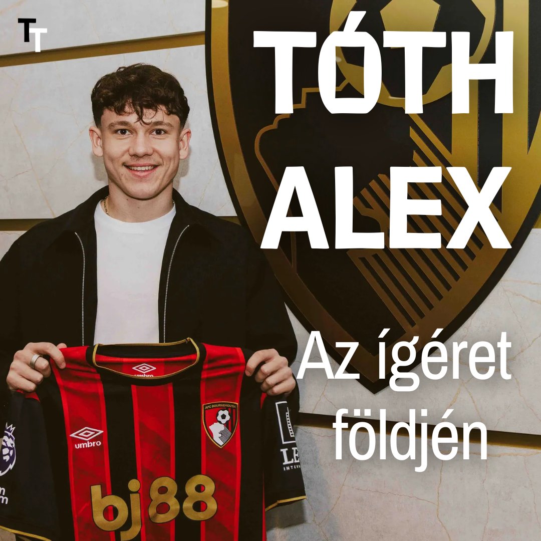 TT Extra tweet media