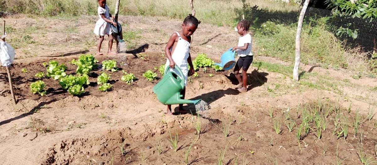 AECF - Powering Africa's Growth through SMEs tweet media