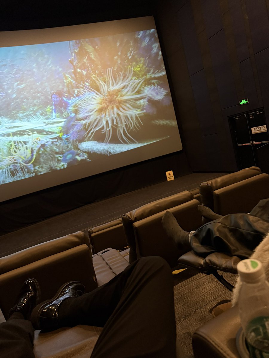 顾明淵 tweet media