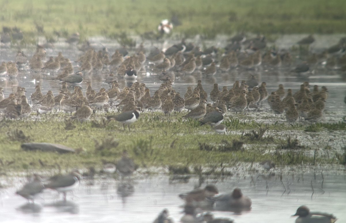 Tim Jukes tweet media