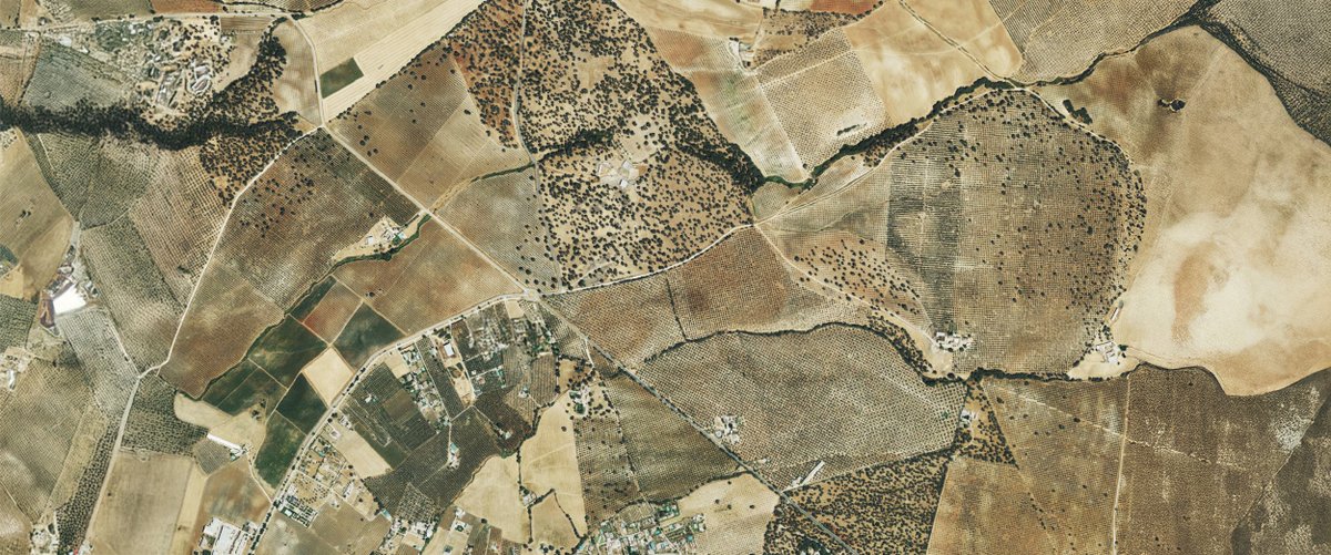 🗺️ Explora el territorio andaluz con los visores y mapas del #Geoportal Rediam. Toda la información espacial sobre el #MedioAmbiente en Andalucía: catálogo de información espacial, mapas ambientales, visores, servicios web y descarga de datos. 
🔗 lajunta.es/6alpr 

#GIS