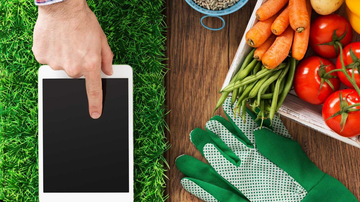 From “what is this?” to “how do I save it?”—ID it, then chat through the solution.

Start for Free with the AI Plant Identifier!

#gardeningtips #gardeninginspiration #GardeningX #gardening

globalowls.com/ai-plant-ident…