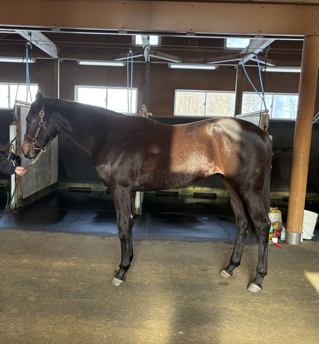 なーる tweet media