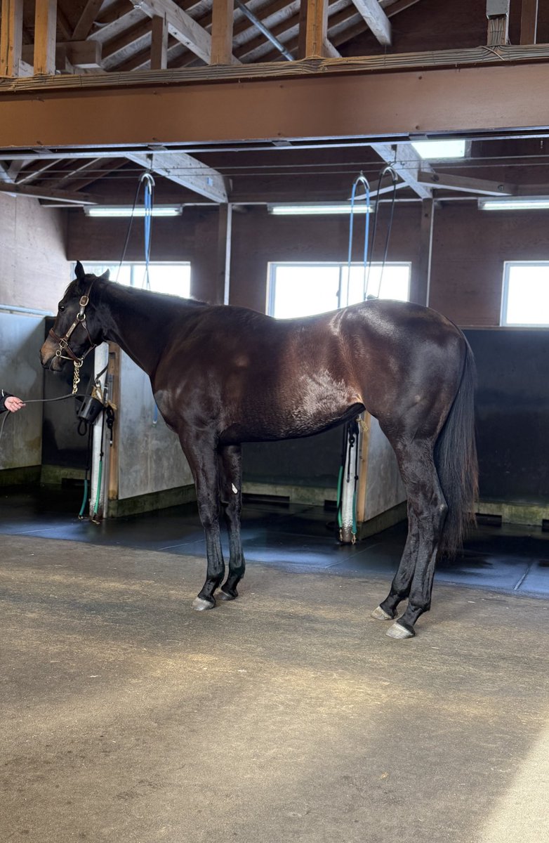 なーる tweet media