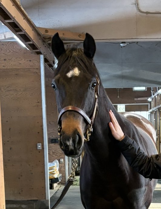 なーる tweet media