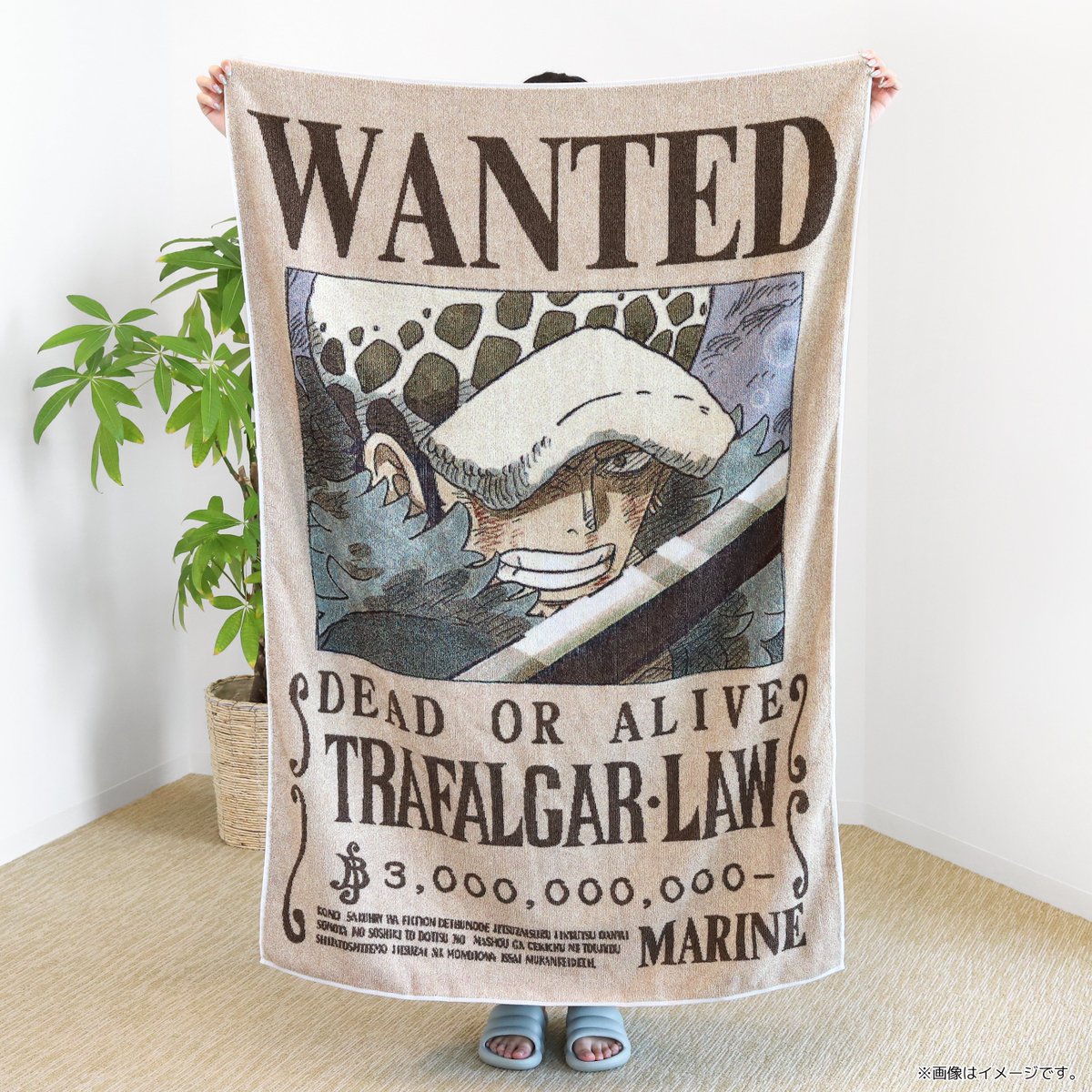 ✨新商品✨ Made in Japan！ 高級感たっぷりの「五彩織り」ビッグ