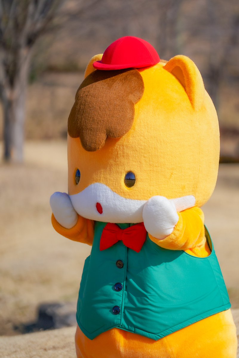 gunma_gunmachan's tweet image. 水曜日はぐんまちゃんのお誕生日会だよ〜
はやくみんなに会いたいな〜🐴

#ぐんまちゃんお誕生日会
#ぐんまちゃん #群馬