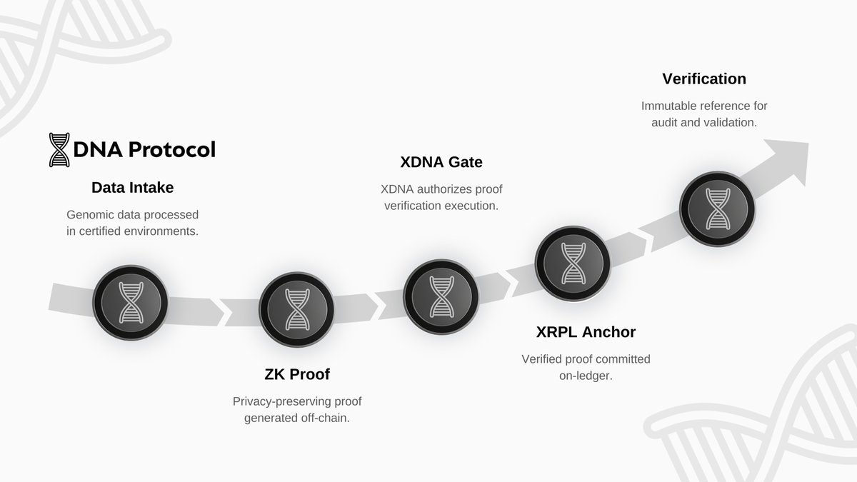 DNA Protocol tweet media
