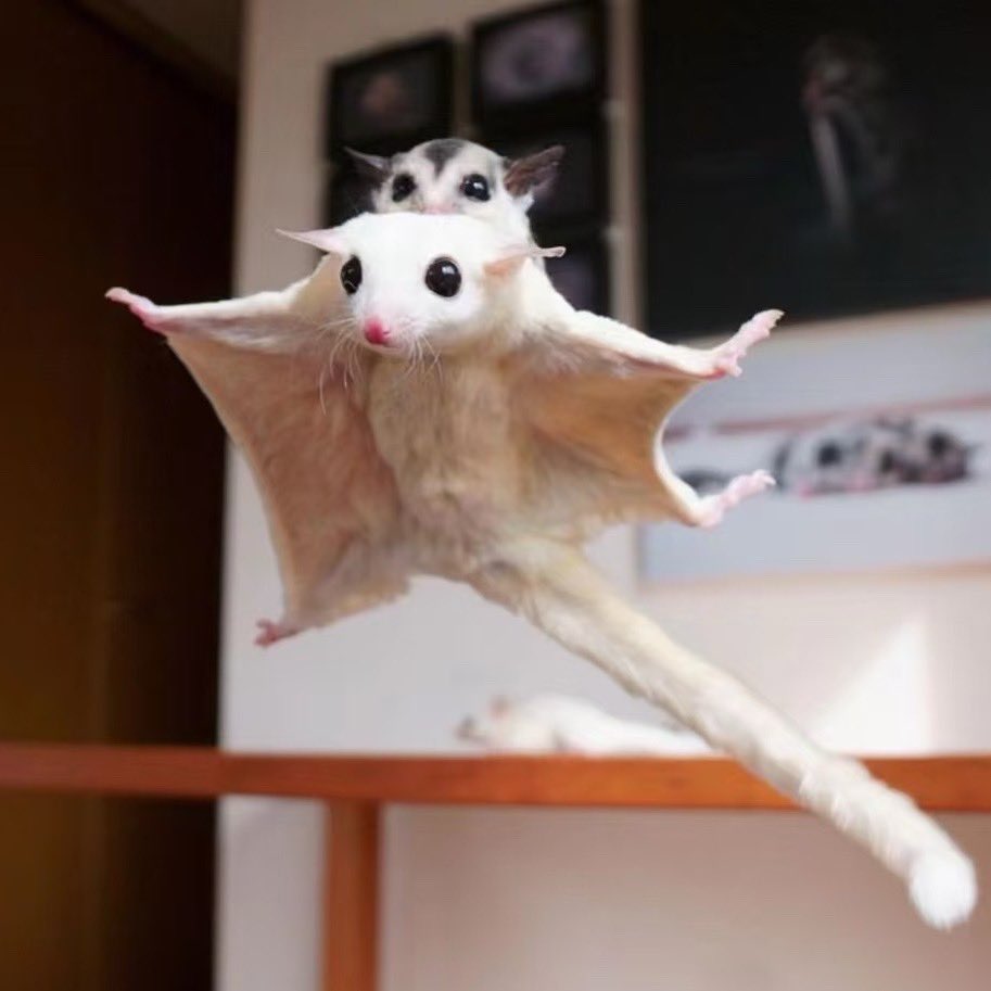 Stel2laa's tweet image. 