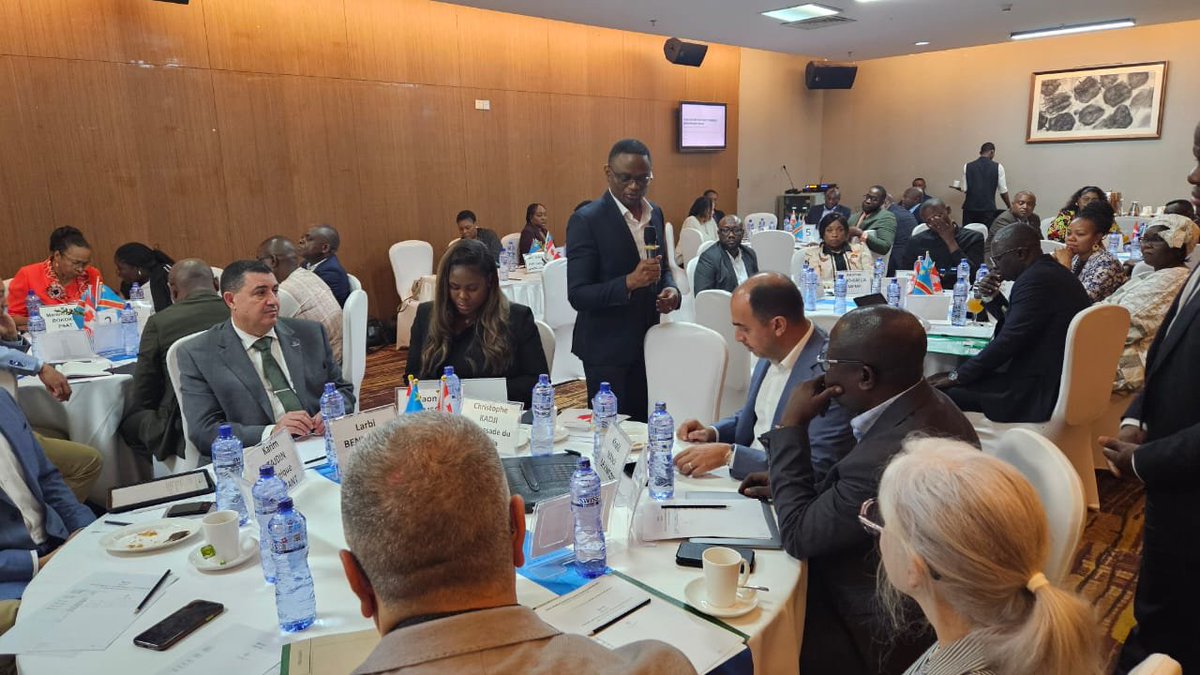 Canada in DRC tweet media