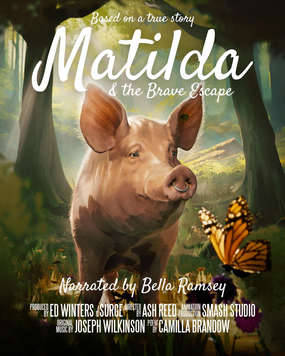 el_primigenio's tweet photo. Corto de animación basado en la historia real de la cerdita Matilda

Para ver el cortometraje en el siguiente enlace: https://t.co/2TzINl72K9

#animales #empatia #Cortometraje #shortmovie #animacion #animation #empathy https://t.co/43ynr6TkKT