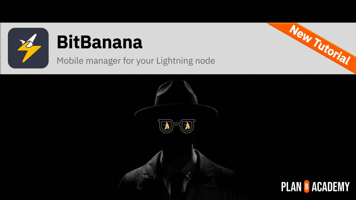 Plan ₿ Network tweet media