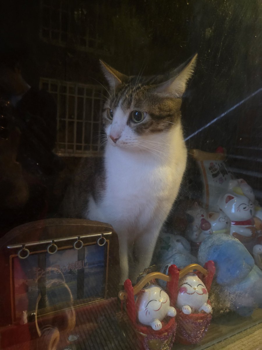 Post by にゃろめ😼🍥 on X: ！？