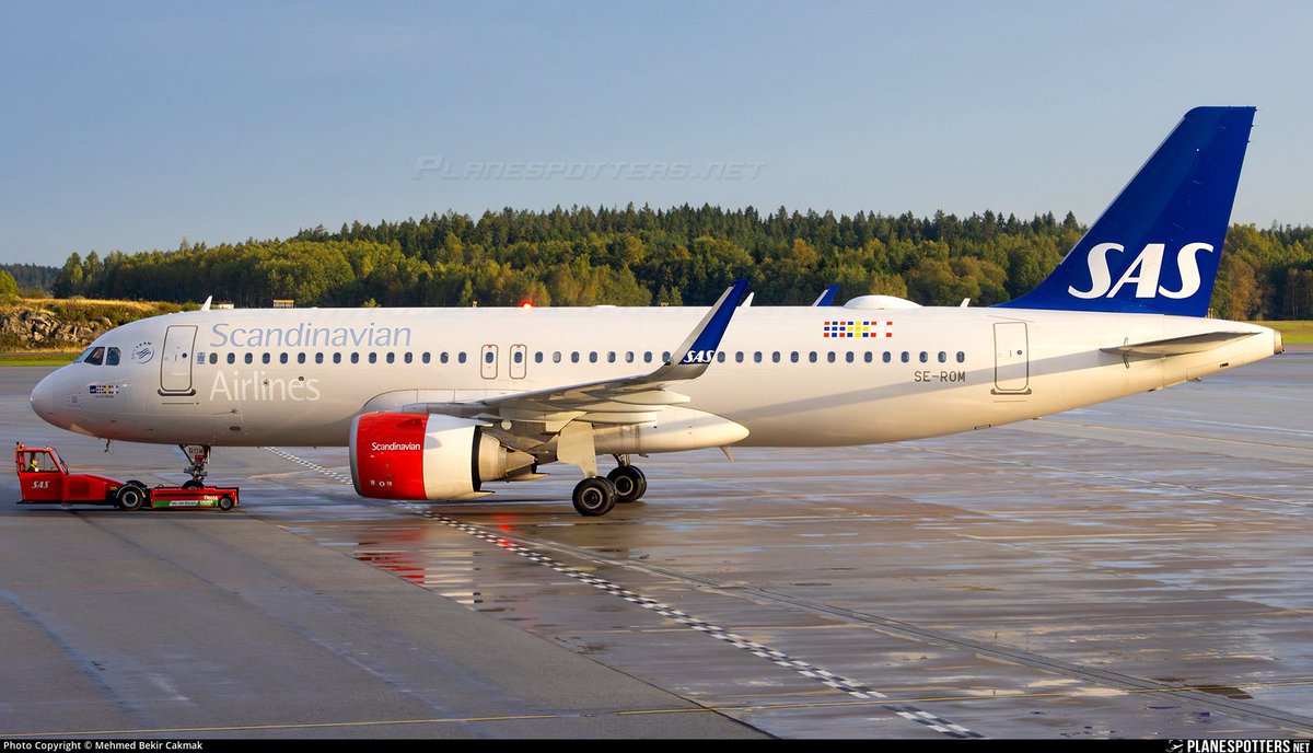 Pato Aviador tweet media