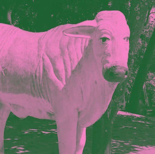 UNDIP MENFESS tweet media