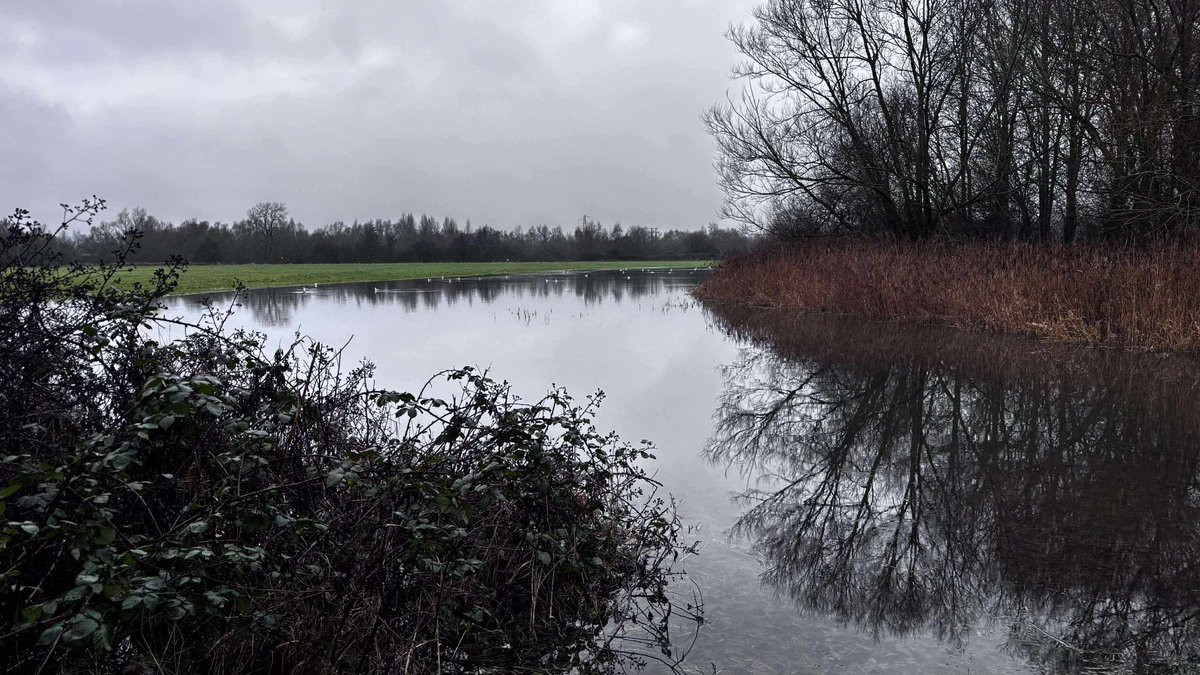 Reading parkrun tweet media