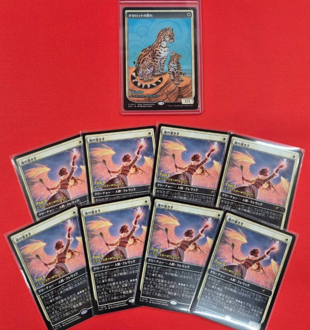 店舗イベント情報】 当店の「ストアチャンピオンシップ」では、 『店舗