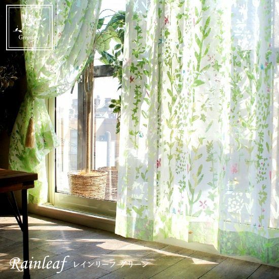 本日のおすすめ商品のご紹介】 本日は癒し効果のあるグリーン系の