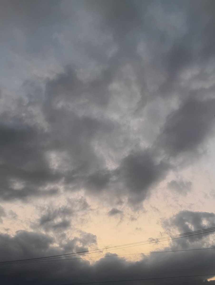 お宮ちゃんに贈るマジアワ♡
穏やかな光が差し込む明るい空が見れた日でした
#つなカン