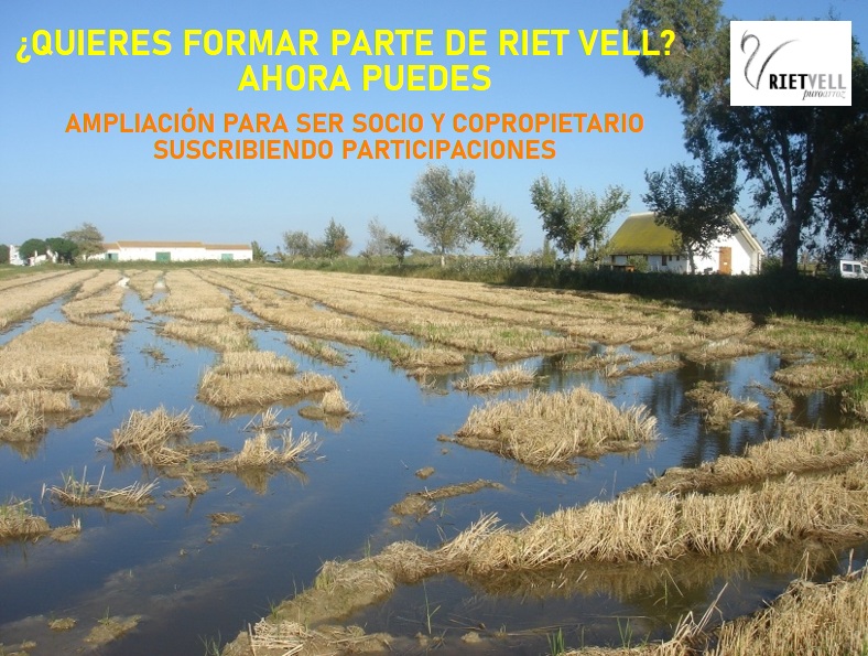 RietVell tweet media