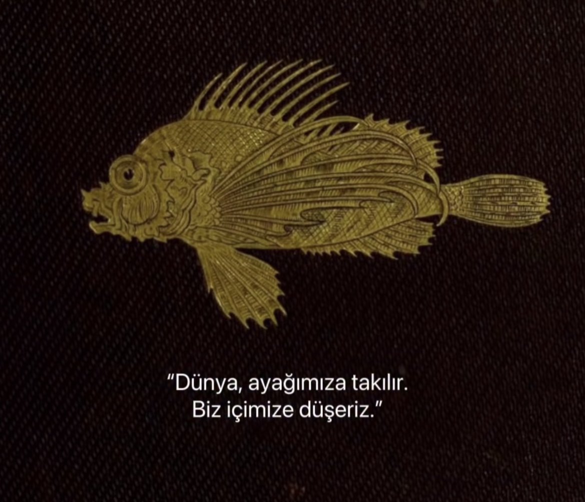 Edebiyat Cephesi (@edebiyatcephesi) on Twitter photo 