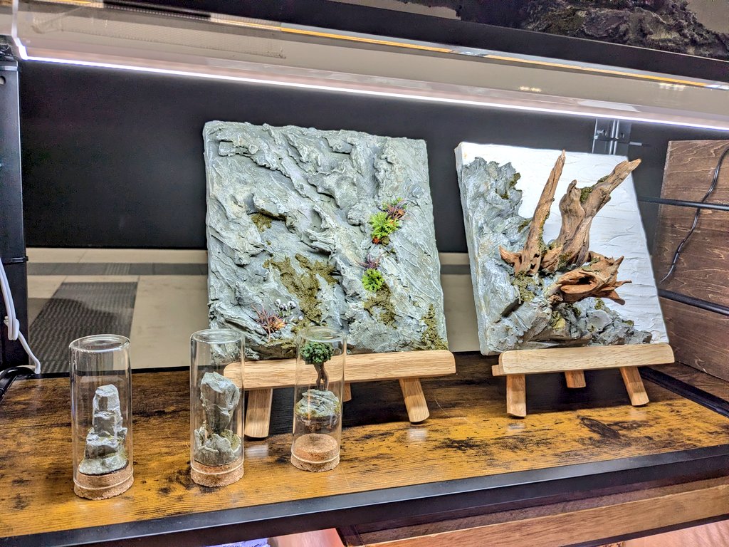 ともえ屋【爬虫類用品制作】 (@Iy0aAILRggs1XgM) / Posts / X