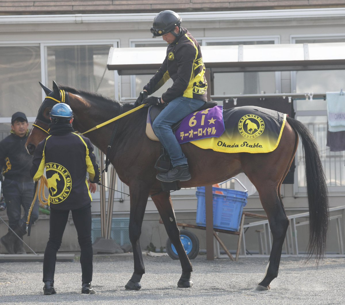 sponichi_sakata's tweet image. 24年天皇賞・春を制した
＃テーオーロイヤル が
栗東トレセンに戻ってきました
金曜は ＃菱田裕二 騎手を背に
角馬場でハッキング
「きのう帰ってきました。乗ったのは昨年の年明け以来だったと思います。凄くうれしいです。強度を上げてという段階ではないですが、少しずつ調子を取り戻してくれたら」