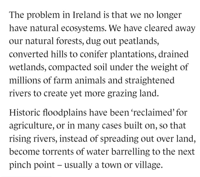 Shrill by Mouth tweet media