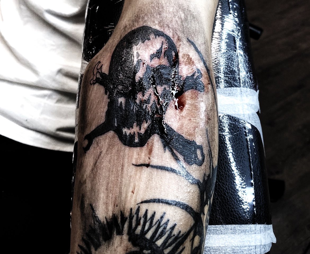 𝒾𝒾cartr tweet media