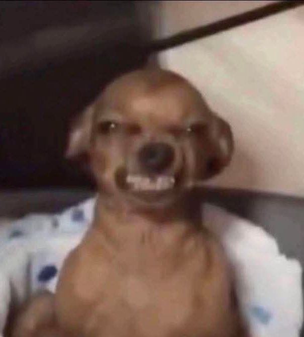 TheRealDeal tweet media