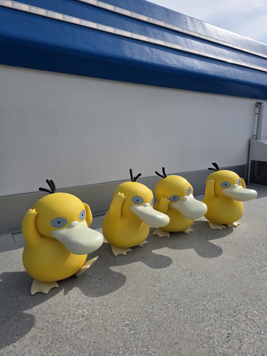 Pablo | パブロ. ⛩️ tweet media