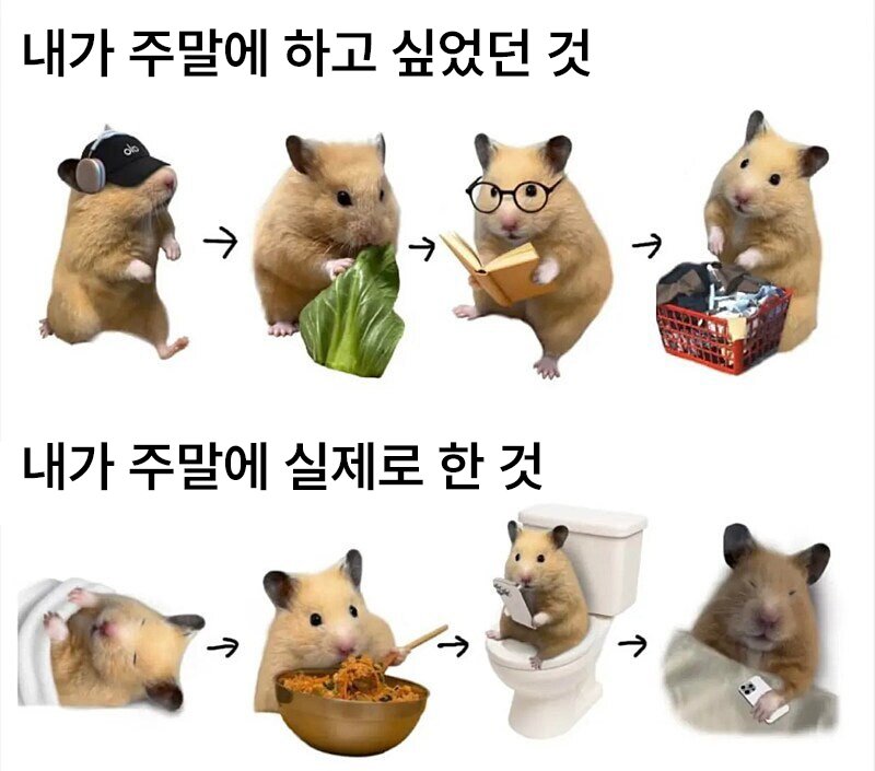 여러분 이번 주말에 뭘 하실꺼예용?