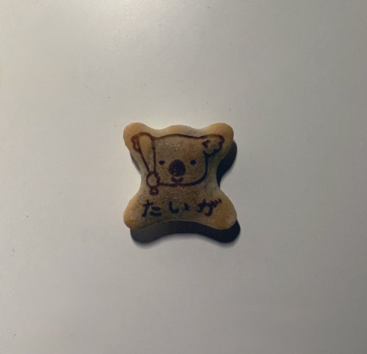 recorrder's tweet image. 오늘 타이가 생일