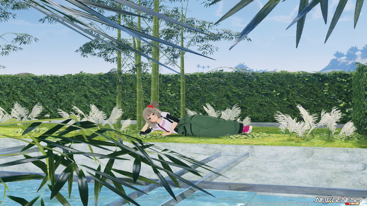 NGSはやるくせにスタレゾとTwitterを
しないやつがいるらしい。
極刑じゃ！！！